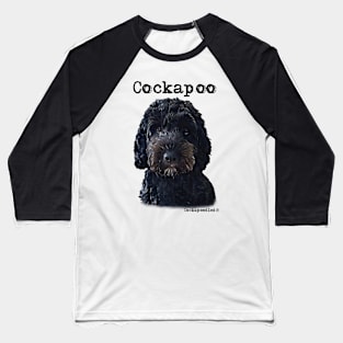 Black Cockapoo / Spoodle and Doodle Dog Baseball T-Shirt